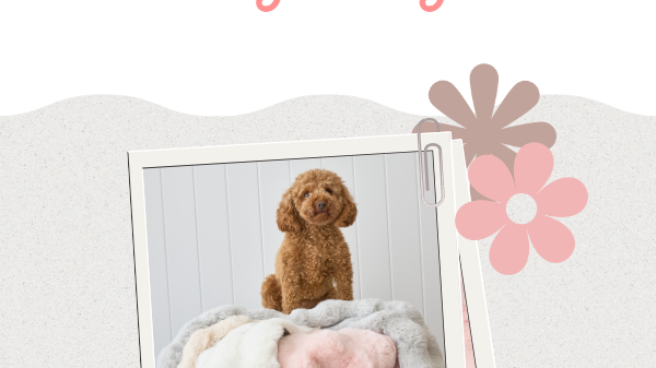 Layer, Mix, and Match: How to Master the Art of Kids' Rug Décor
